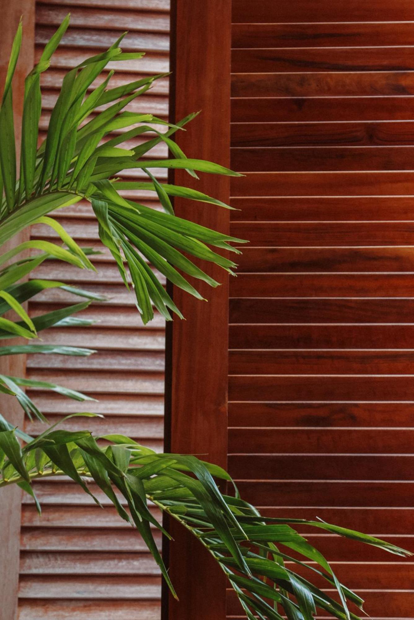 Luau Hotel Guajiru  Zewnętrze zdjęcie