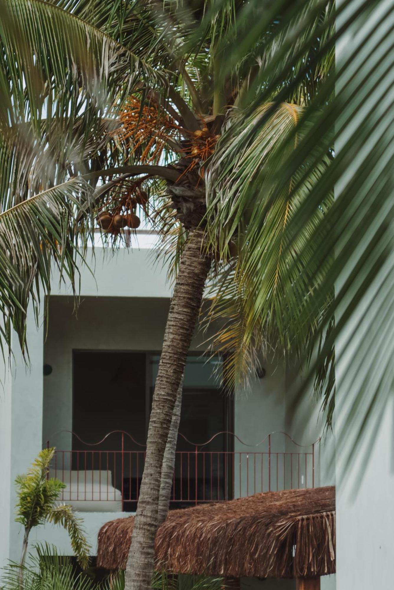 Luau Hotel Guajiru  Zewnętrze zdjęcie